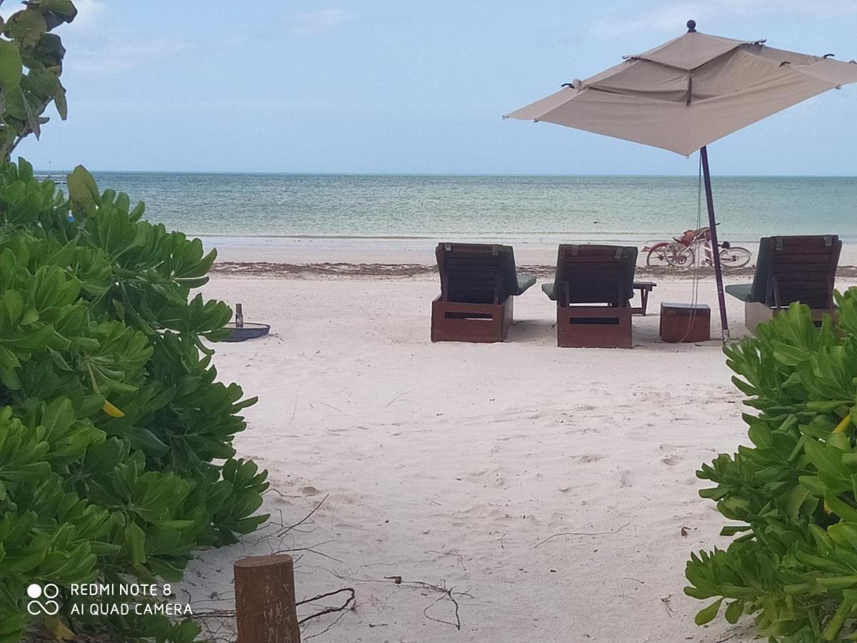 Mi Habitat Holbox-Maravilla Natural מראה חיצוני תמונה