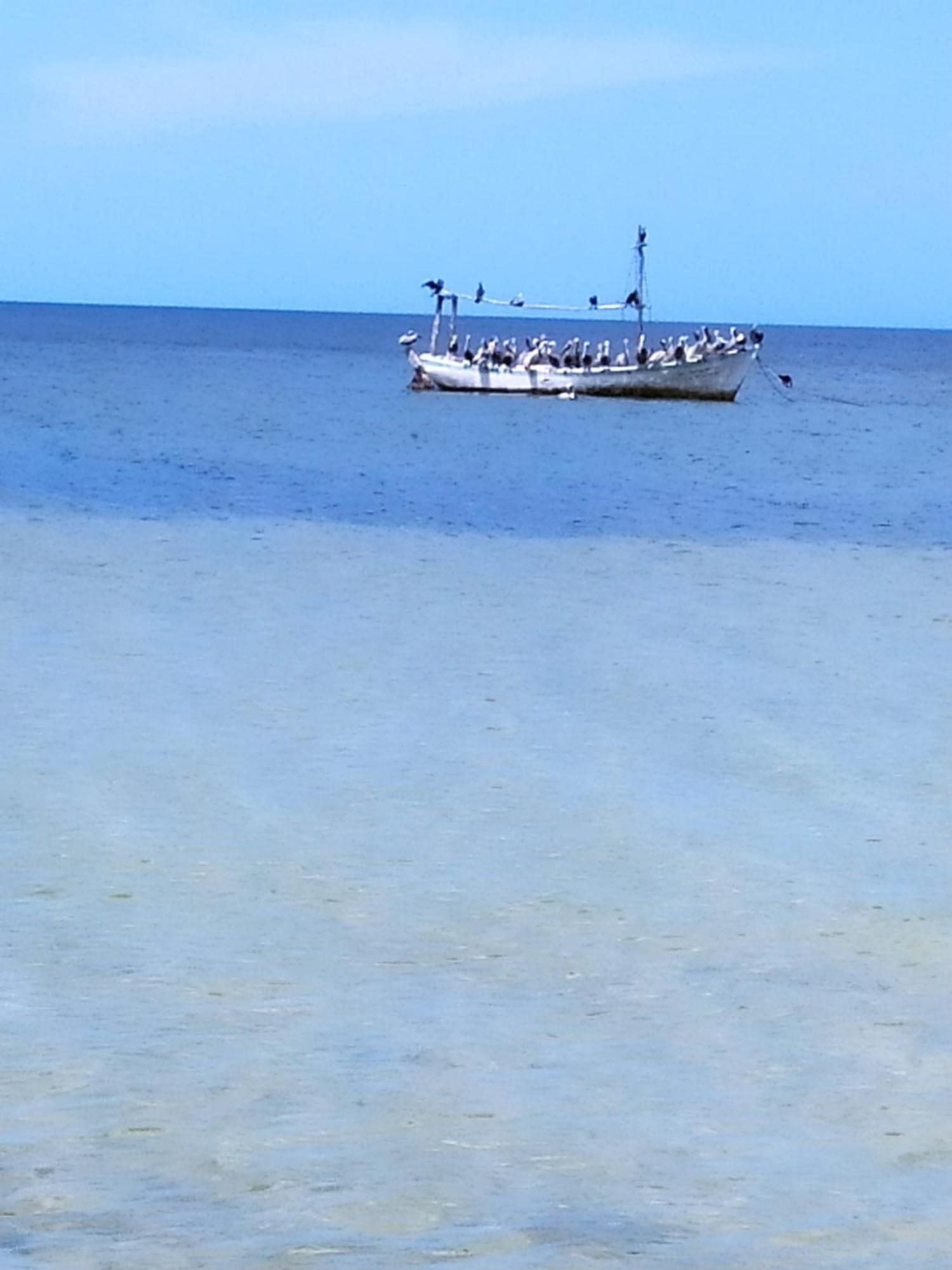 Mi Habitat Holbox-Maravilla Natural מראה חיצוני תמונה