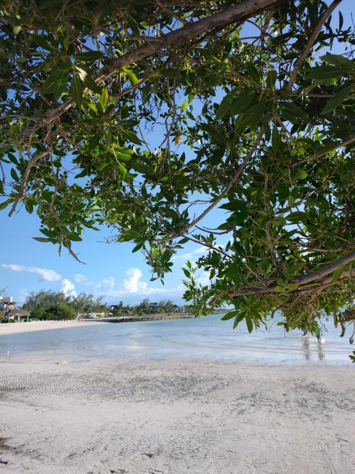 Mi Habitat Holbox-Maravilla Natural מראה חיצוני תמונה