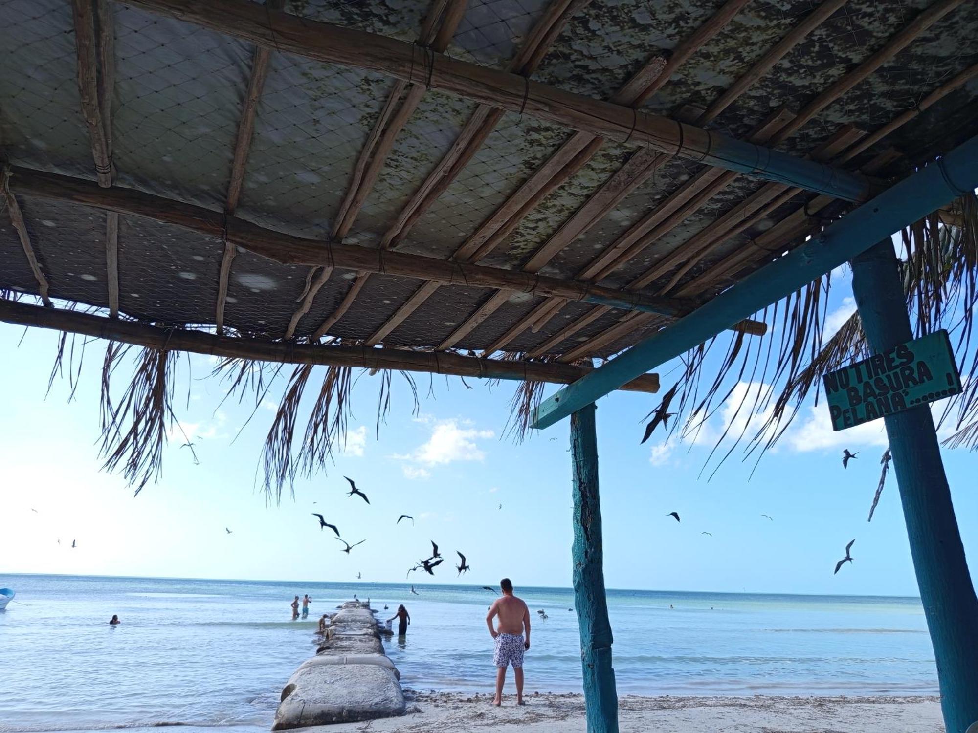 Mi Habitat Holbox-Maravilla Natural מראה חיצוני תמונה